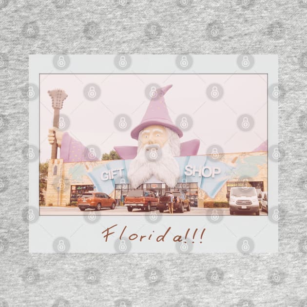 Florida!!! by MickeysCloset